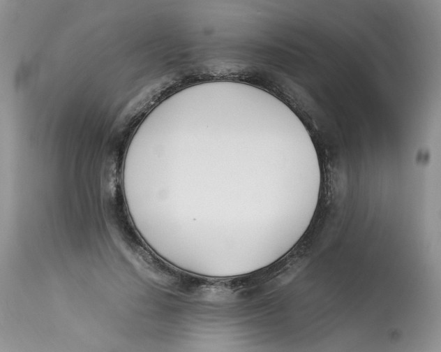 X0000112870644200909111533