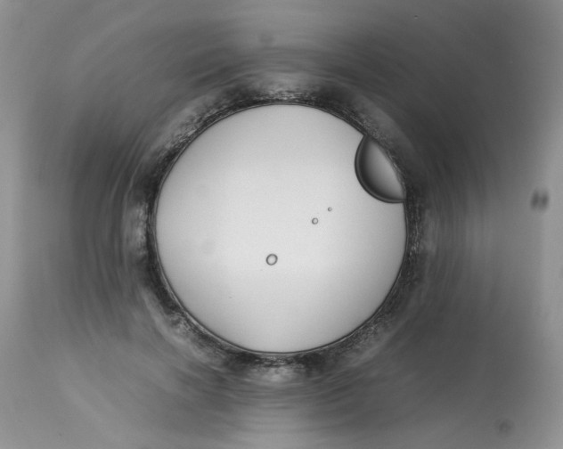 X0000112870646200909111533