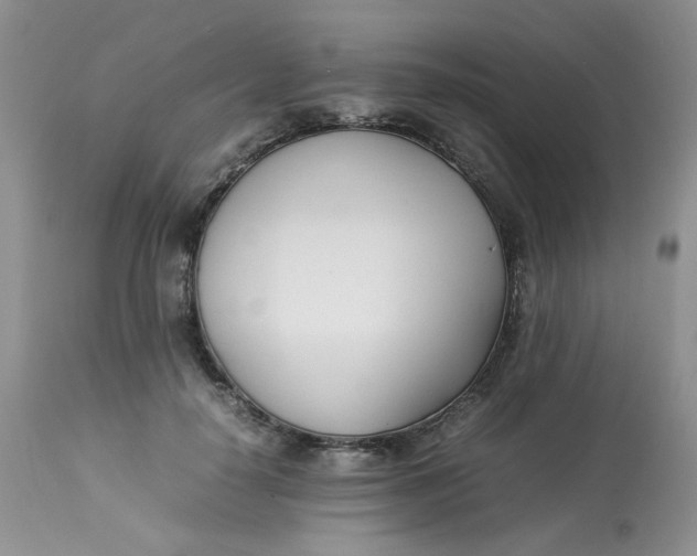 X0000112870650200909111533