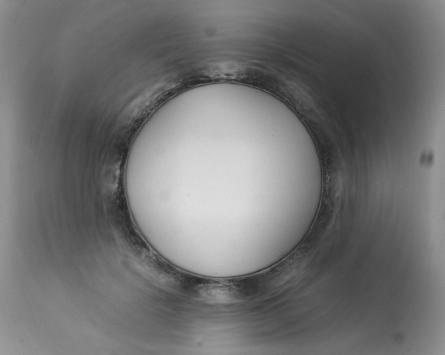 X0000112870652200909111533