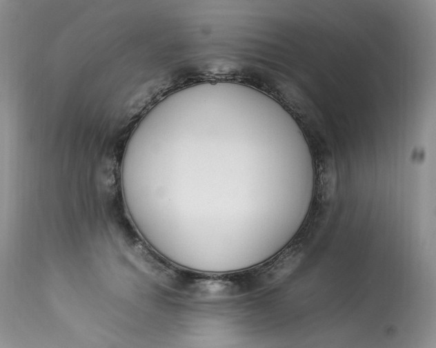 X0000112870654200909111533