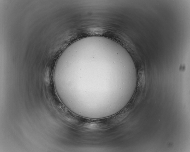 X0000112870655200909111534