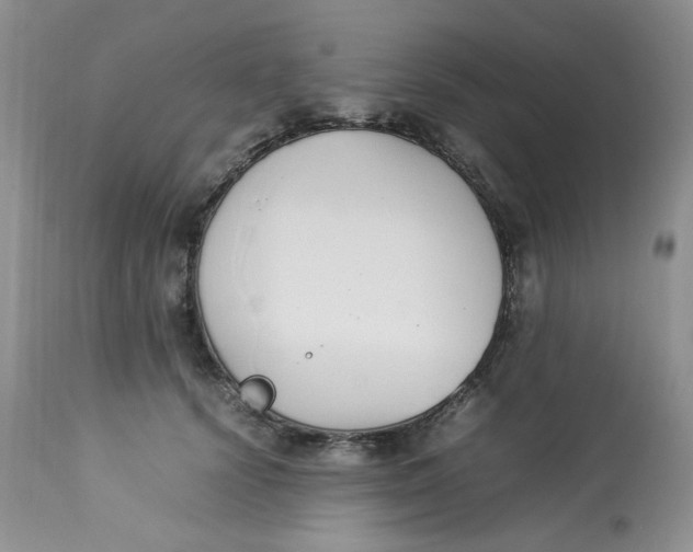 X0000112870656200909111534