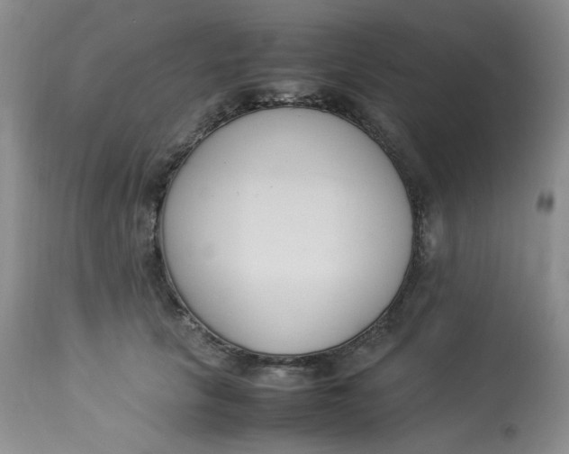 X0000112870657200909111534