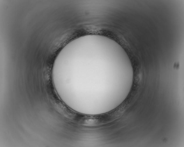 X0000112870658200909111534