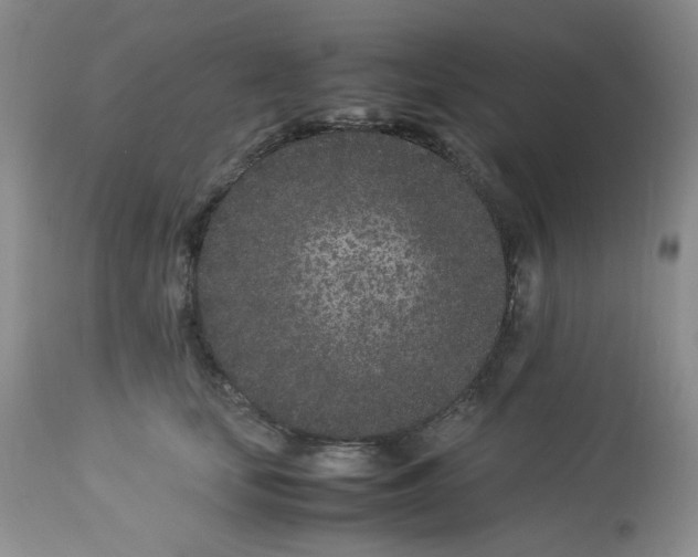 X0000112870659200909111534