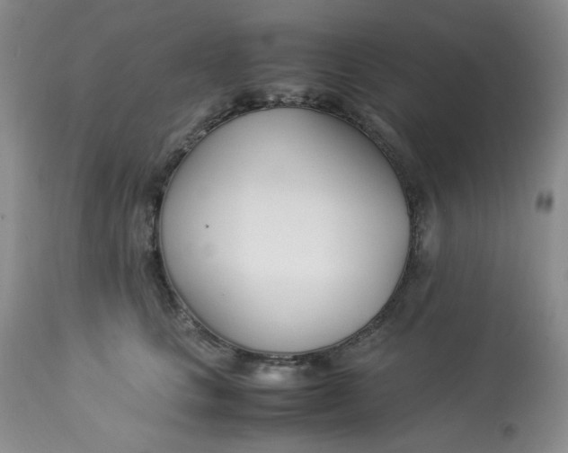 X0000112870661200909111534