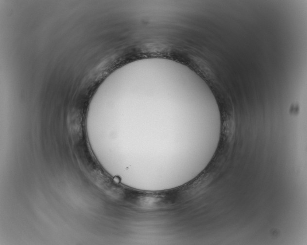 X0000112870662200909111534