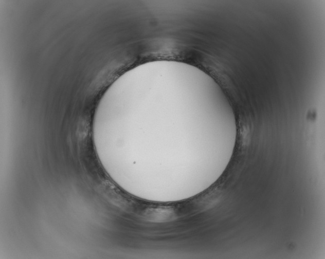 X0000112870665200909111534