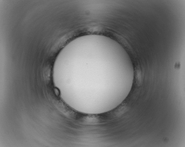 X0000112870668200909111534