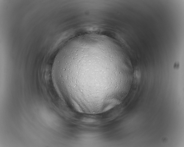 X0000112870671200909111534