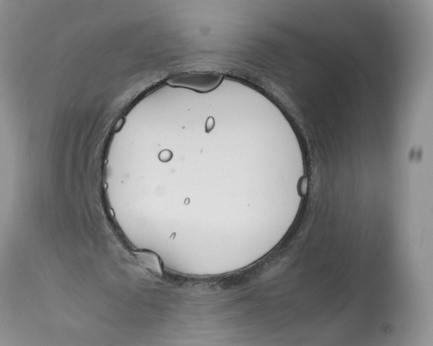 X0000112870673200909111533