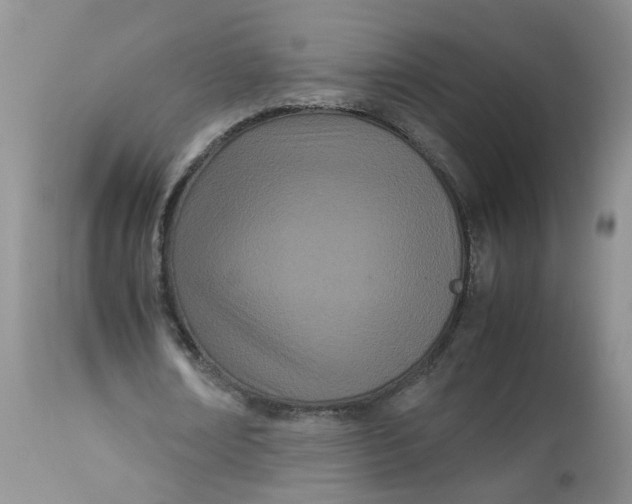 X0000112870674200909111533