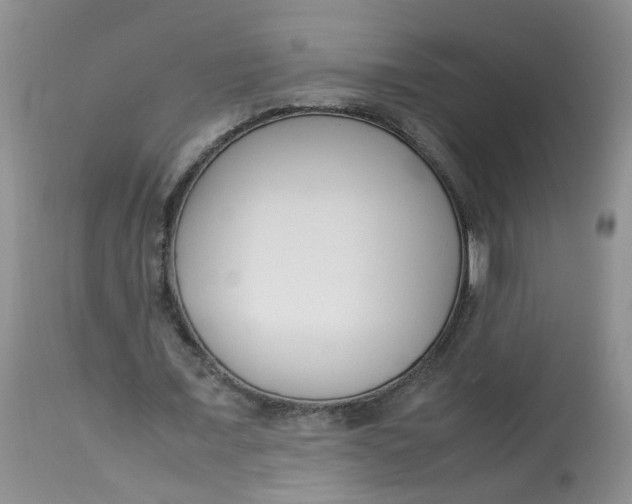 X0000112870675200909111533