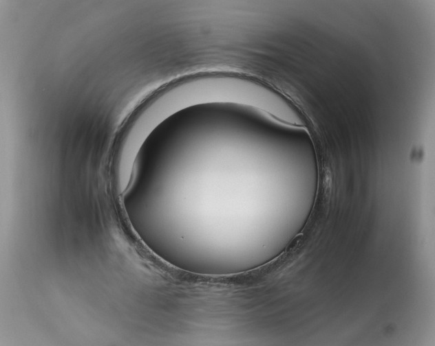 X0000112870676200909111533