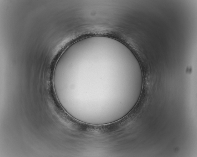 X0000112870679200909111533