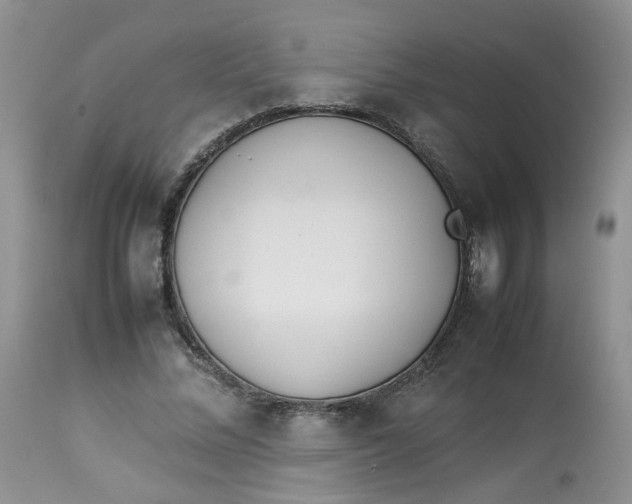 X0000112870684200909111533