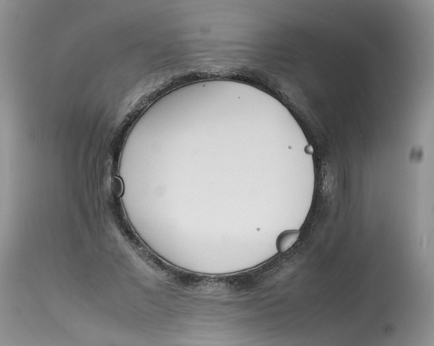 X0000112870685200909111533