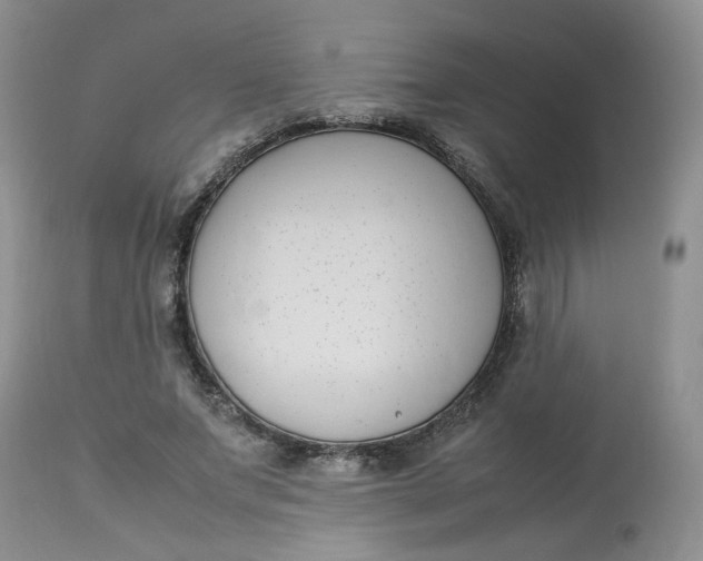 X0000112870687200909111533