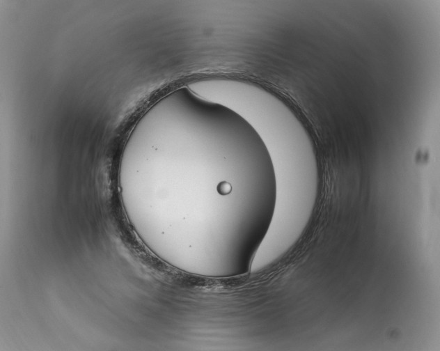 X0000112870688200909111533