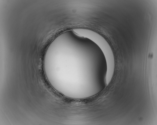 X0000112870689200909111533