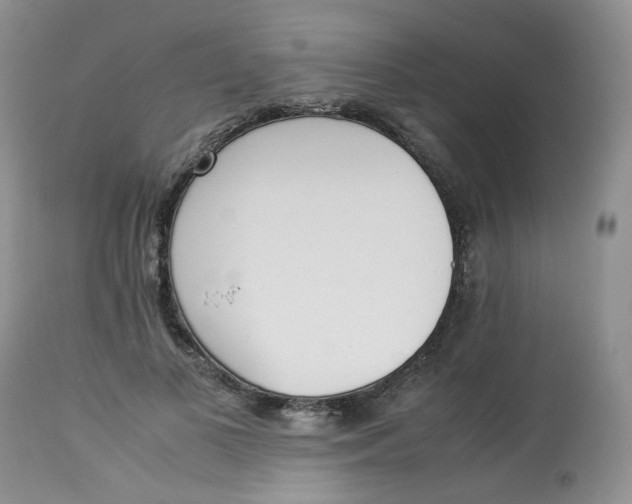 X0000112870693200909111533