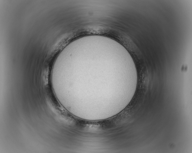 X0000112870694200909111533