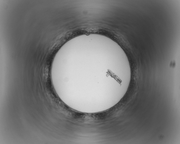 X0000112870697200909111533