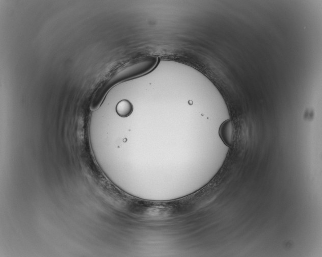 X0000112870700200909111533