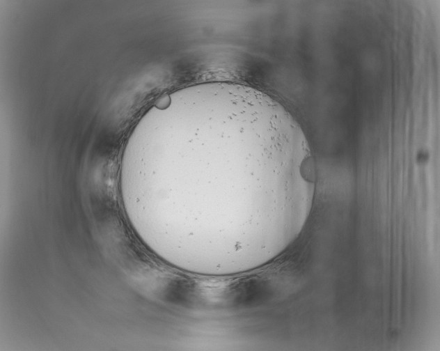 X0000112870701200909111533