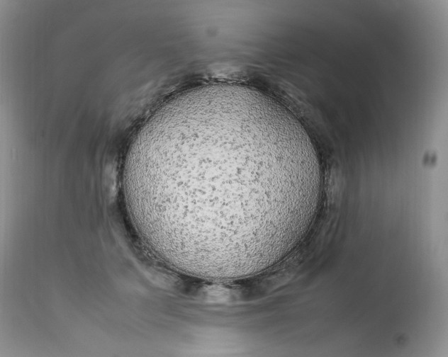 X0000112870703200909111533