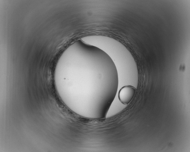 X0000112870704200909111532