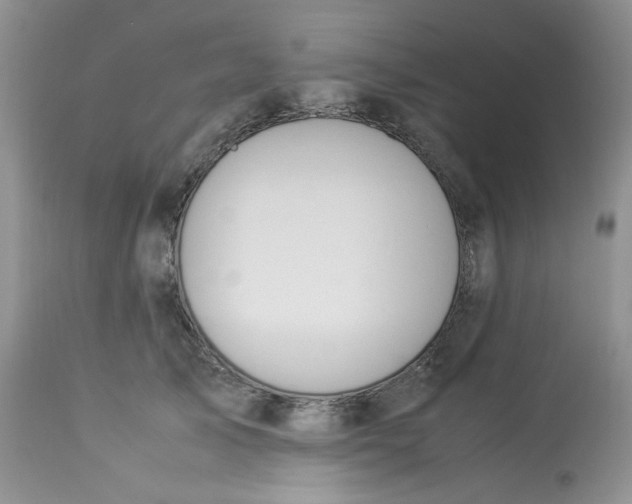 X0000112870705200909111532