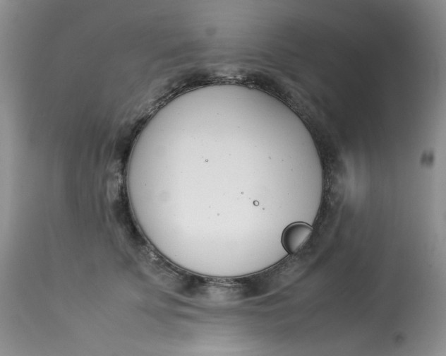 X0000112870707200909111532