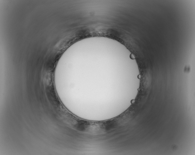 X0000112870709200909111532