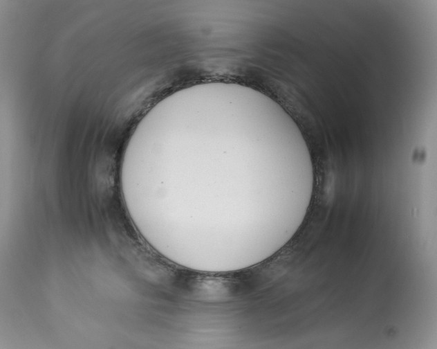 X0000112870710200909111532