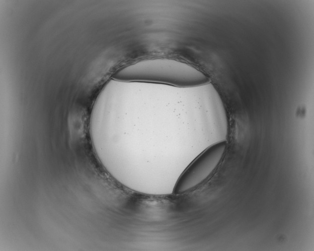 X0000112870712200909111532