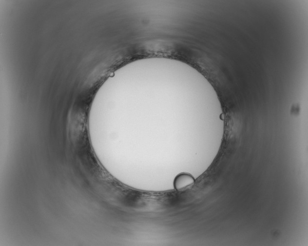 X0000112870713200909111532