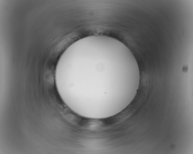 X0000112870719200909111532