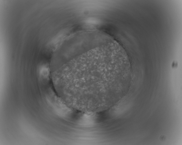 X0000112870720200909111532