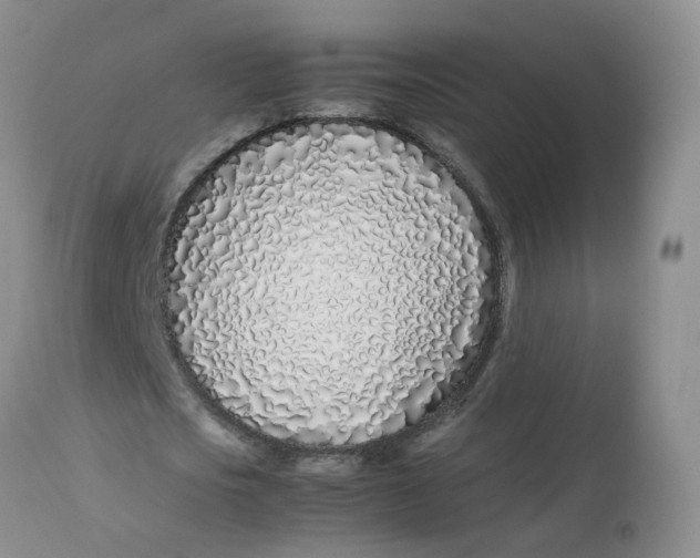 X0000112870721200909111532