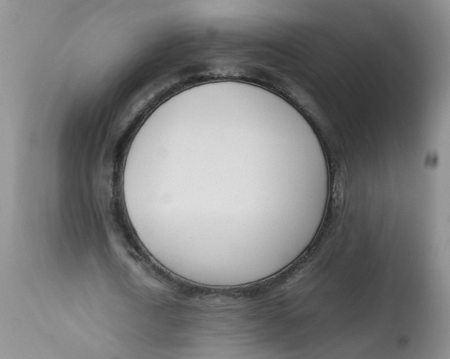 X0000112870722200909111532