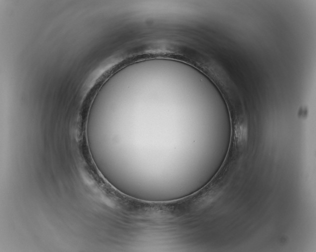 X0000112870724200909111532