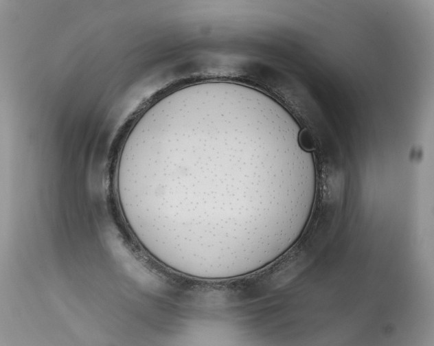 X0000112870726200909111532