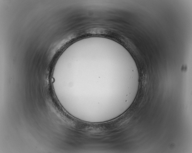 X0000112870727200909111532