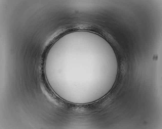 X0000112870730200909111532