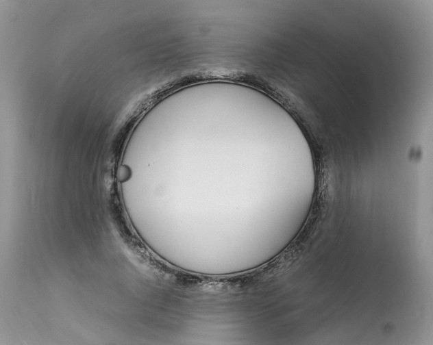 X0000112870736200909111532