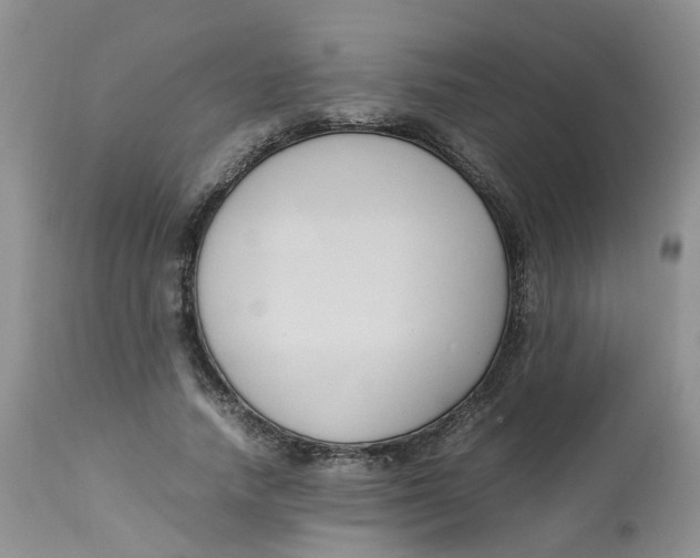 X0000112870738200909111532