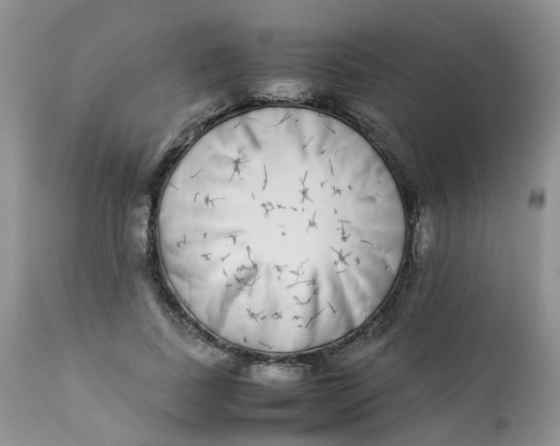 X0000112870739200909111532