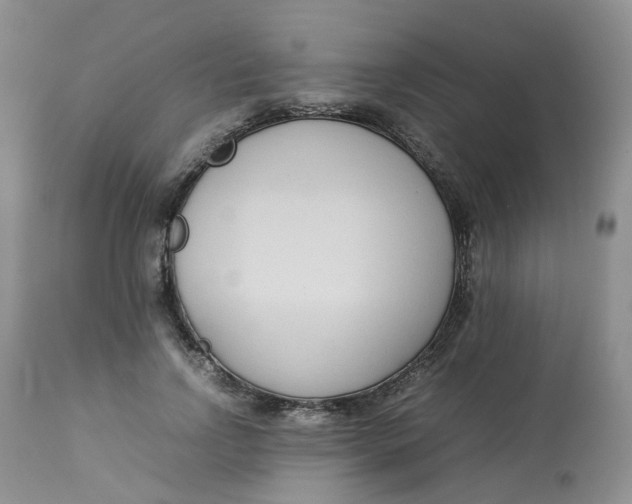 X0000112870742200909111532